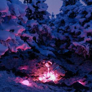 亚洲美女屁股眼交14
