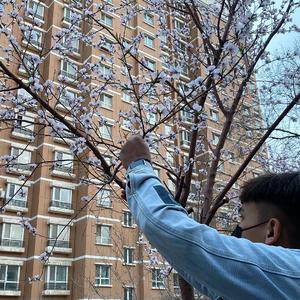 亚洲美女屁股眼交14
